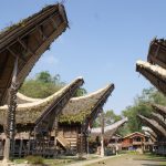 Tradycyjne domy tongkonan w regionie Tana Toraja