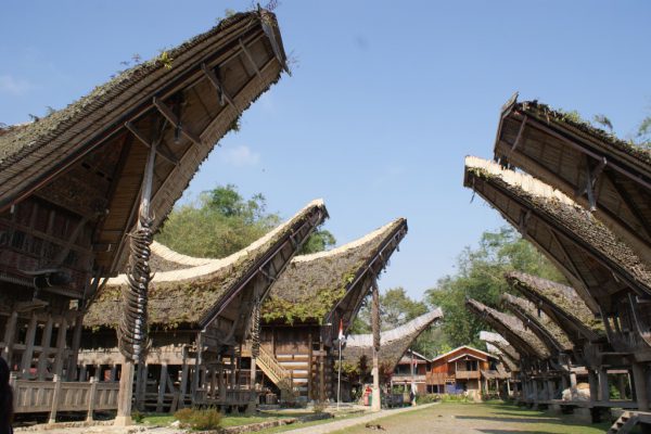 Tradycyjne domy tongkonan w regionie Tana Toraja