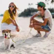 Para spacerująca z psem po plaży podczas wakacji
